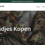 Waar kun je het beste wietzaadjes kopen in Nederland?